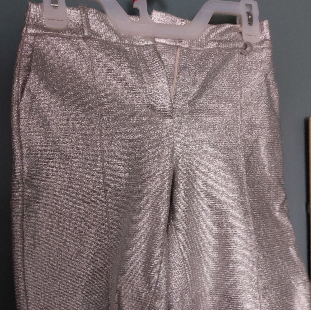 Shiny Silver Shorts